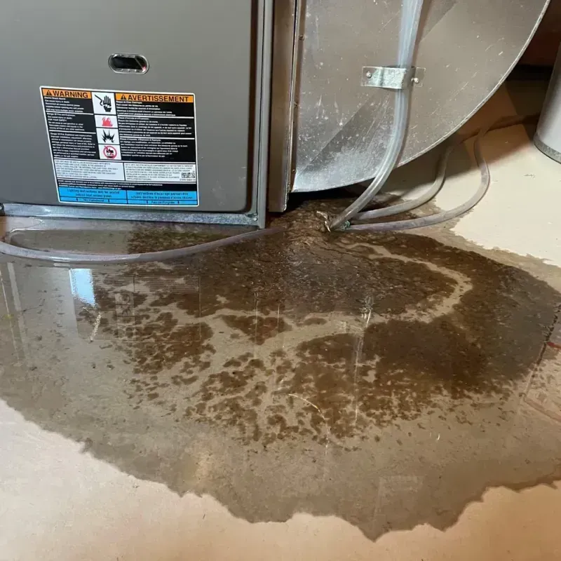 Appliance Leak Cleanup in Lindsay, OK